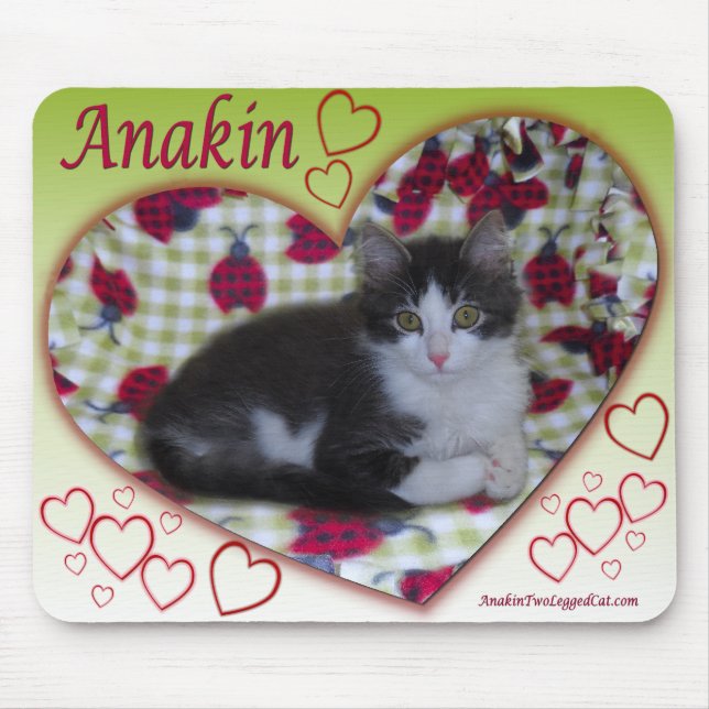 Tapis De Souris Coeur à deux jambes KittyMousepad de coccinelle de (Devant)