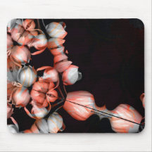 "Coeur blanc en noir du soleil"