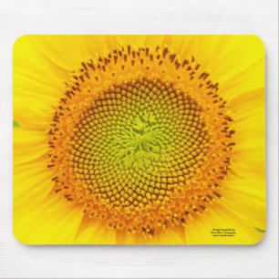 Tapis De Souris Coeur du tournesol