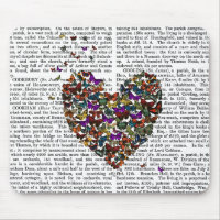 Coeur papillon