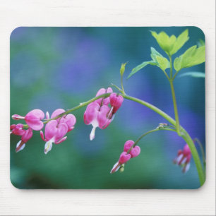 Tapis De Souris Cœurs saignants roses dans le jardin. Crédit :