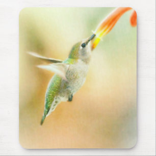 Tapis De Souris Colibri en vol tôt le matin