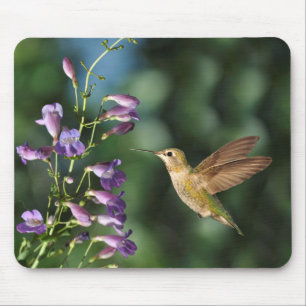 Tapis De Souris Colibri et fleurs