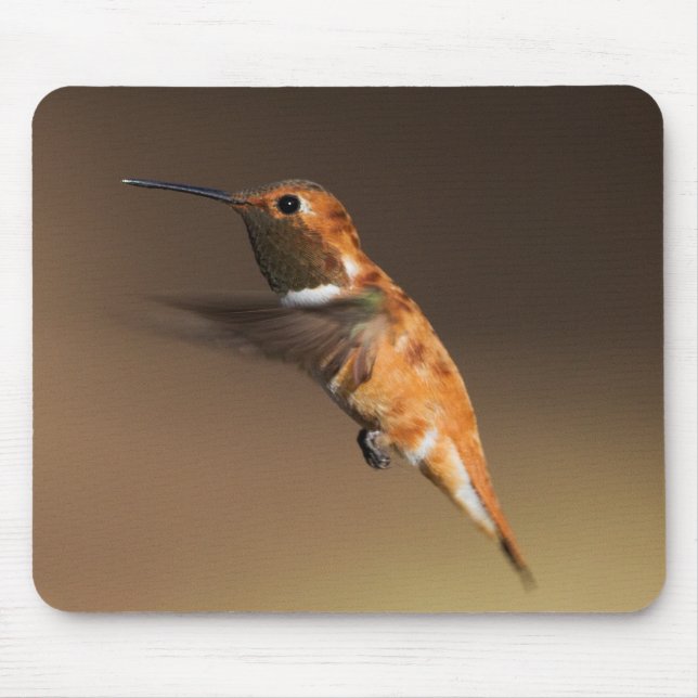 Tapis De Souris Colibri roux en vol (Devant)
