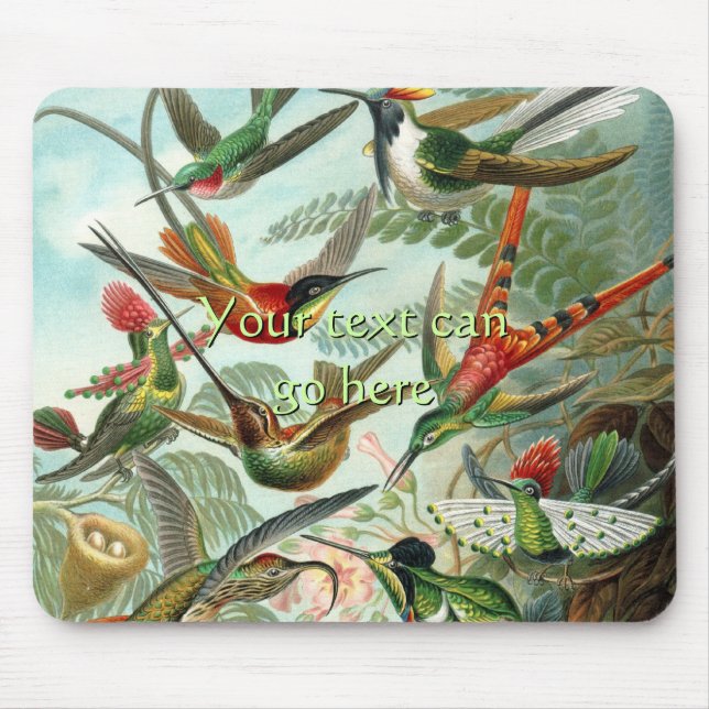Tapis De Souris Colibri vintage (Devant)