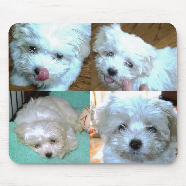 Tapis De Souris Collage de chiot de Riley Malti-poo (Devant)