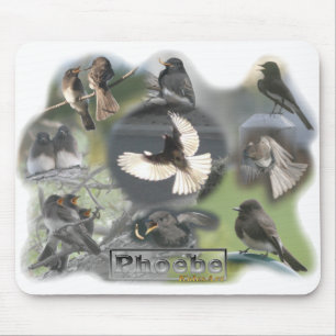 Tapis De Souris Collage de photo d'oiseaux de Phoebe