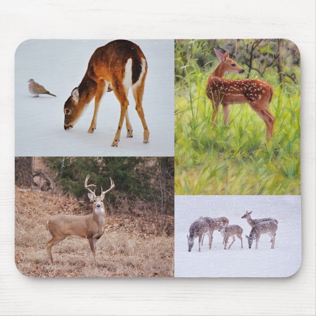 Tapis De Souris Collage of Wild Deer in Texas Seasonal Mouse Pad (Devant)