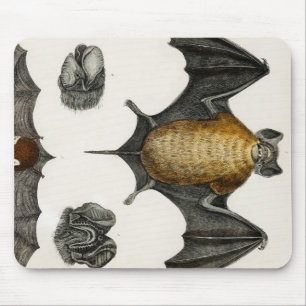 Tapis De Souris Collection de différentes chauves-souris