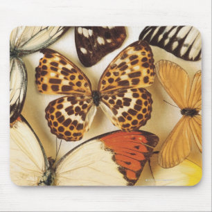 Tapis De Souris Collection de papillon