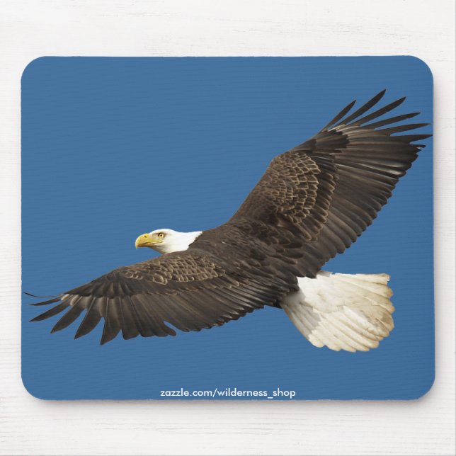 Tapis De Souris Collection WILD WARRIORS (Devant)