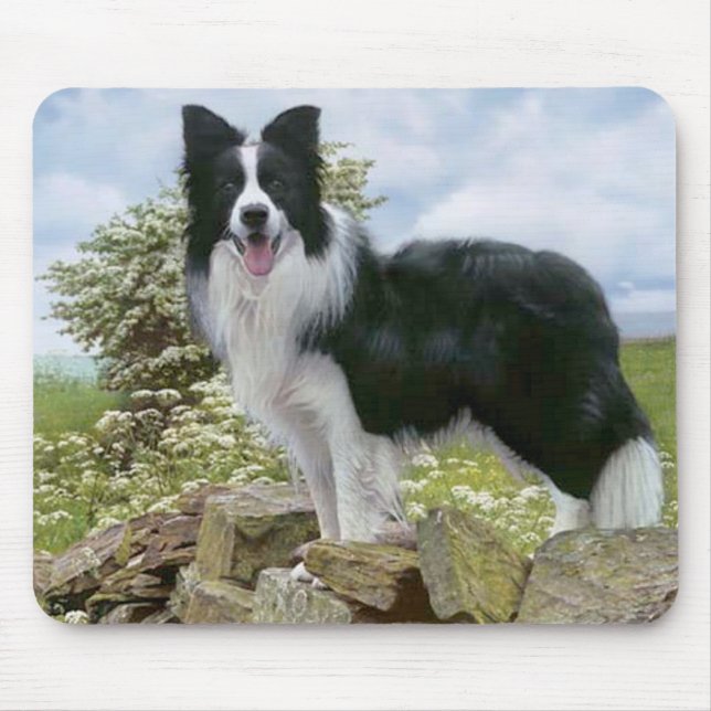 Tapis De Souris Collie Bordure Noire Et Blanche Mousepac (Devant)