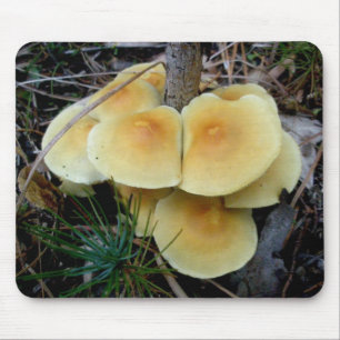 Tapis De Souris Colonie du champignon jaune OBX Mousepad