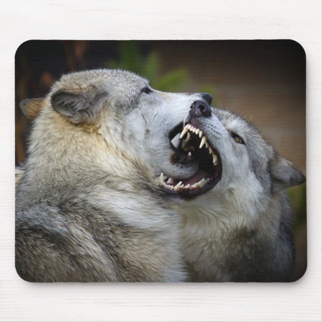 Tapis De Souris Combat de loup (Devant)