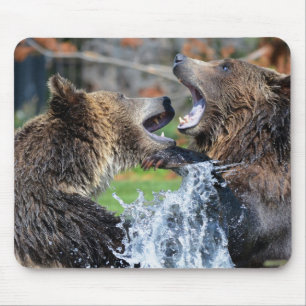 Tapis De Souris Combat d'ours gris