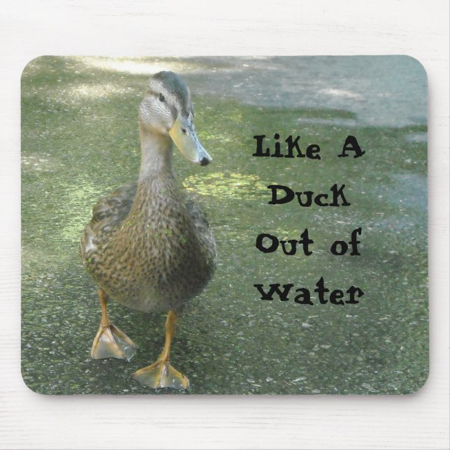 Tapis De Souris Comme un canard hors de l'eau (Devant)