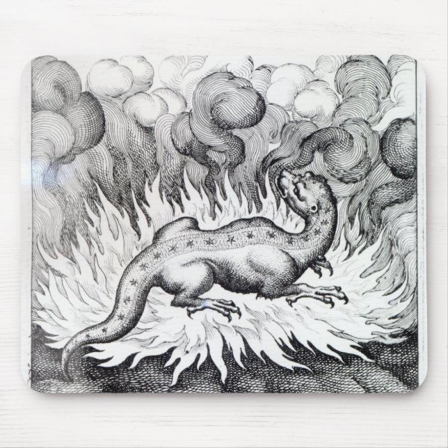 Tapis De Souris Comme vies de salamandre en feu (Devant)