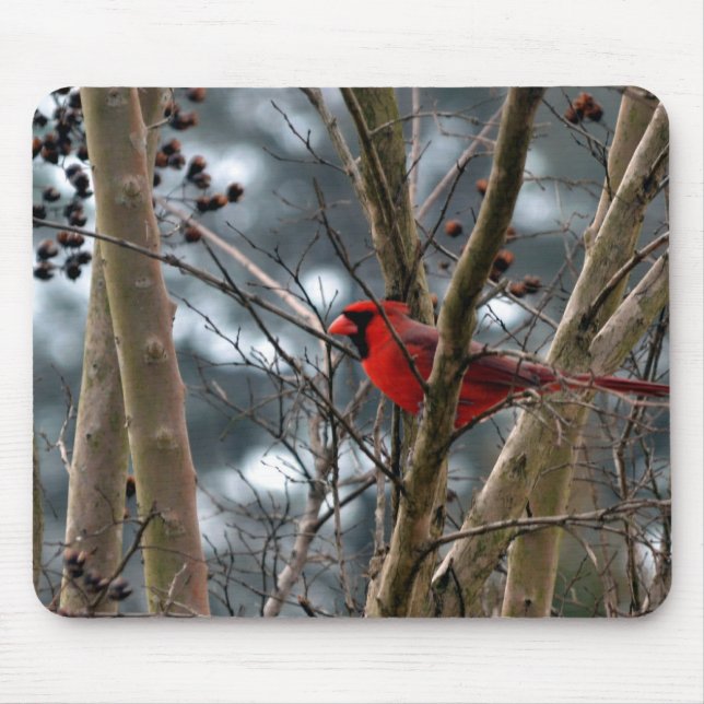 Tapis De Souris Concentration masculine de cardinal (Devant)