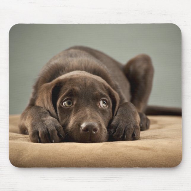 Tapis De Souris Conception adorable de chiot de laboratoire de (Devant)