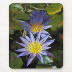Tapis De Souris Conception botanique florale de nénuphar tropical