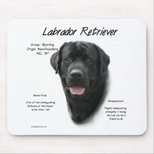 Tapis De Souris Conception de l'historique du Labrador Retriever (