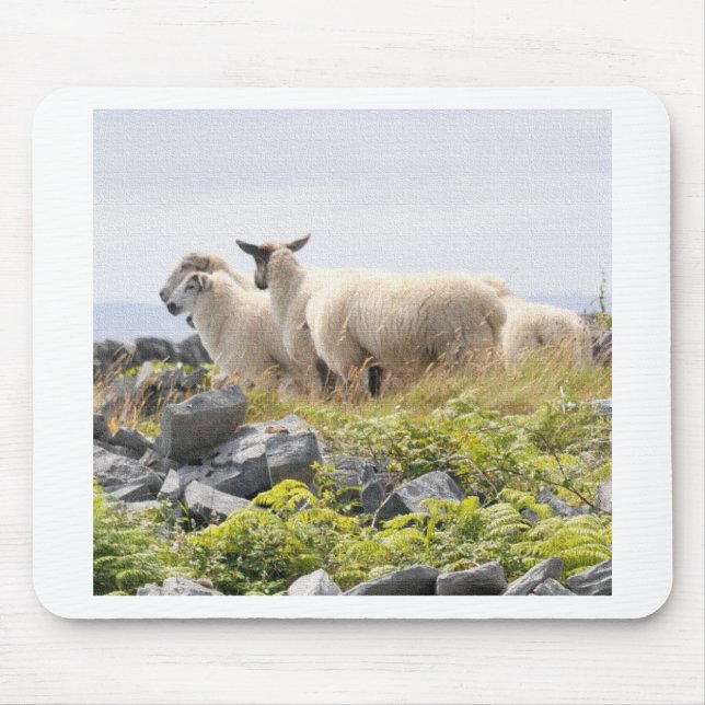 Tapis De Souris Conceptions originales - Moutons dans un champ (Devant)