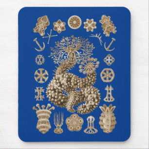 Tapis De Souris Concombres de mer