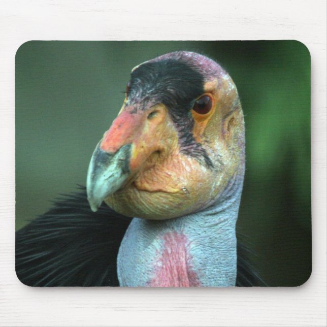 Tapis De Souris Condor de Californie Mousepad (Devant)
