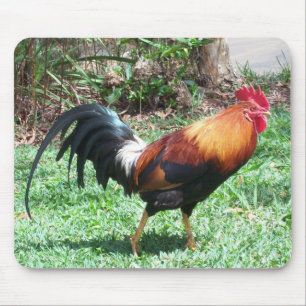 Tapis De Souris Coq Mousepad