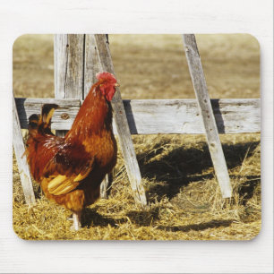 Tapis De Souris Coq Rhode Island Red