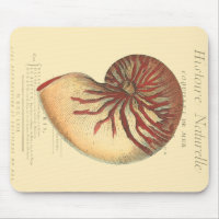 Coque conique rouge vintage