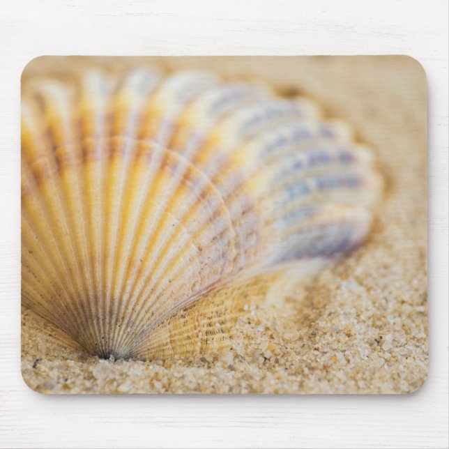 Tapis De Souris Coquillage doux (Devant)