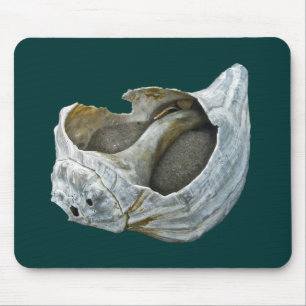 Tapis De Souris Coquillage - Personnaliser Choisissez votre couleu