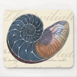 Tapis De Souris Coquillage romantique