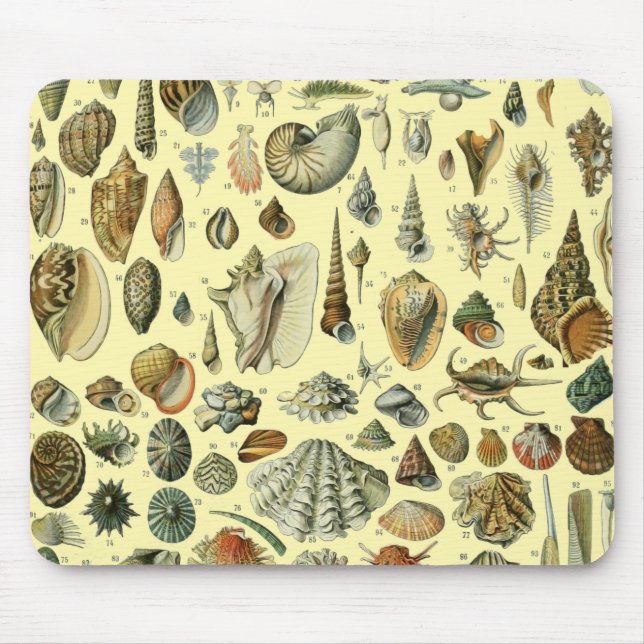 Tapis De Souris Coquillages de coquillages Mollusk Clam Élégant Ar (Devant)