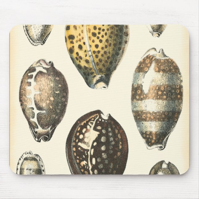 Tapis De Souris Coquillages De Forme Unique (Devant)