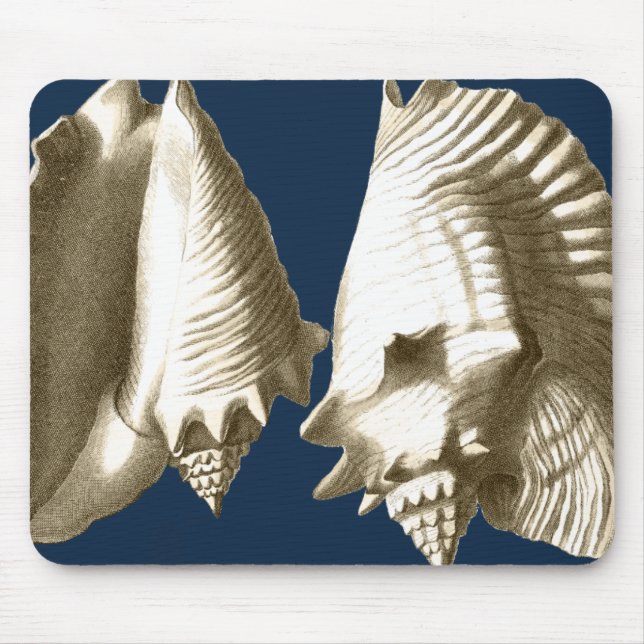 Tapis De Souris Coquillages Sepia Conch (Devant)