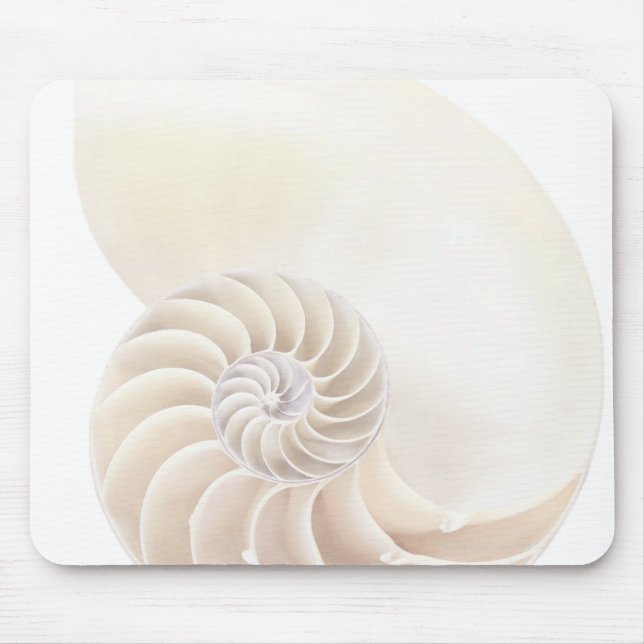 Tapis De Souris Coquille de Nautilus, gros plan (Devant)