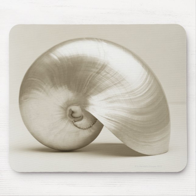 Tapis De Souris Coquille marine de nausolée perlée (Devant)