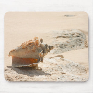 Tapis De Souris Coquilles de mer sur la plage