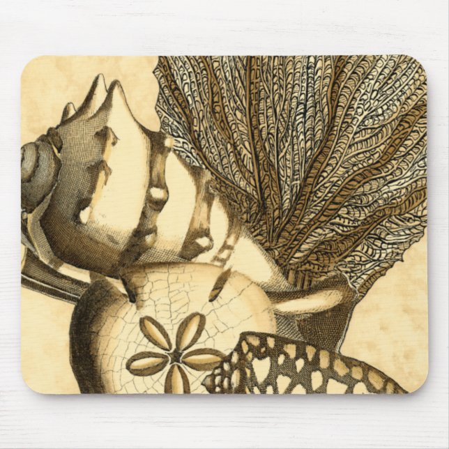 Tapis De Souris Coquilles neutres et collection de corail (Devant)