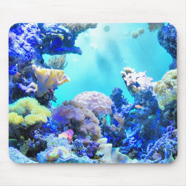 Tapis De Souris Corail (Devant)