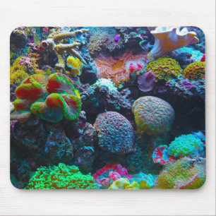 Tapis De Souris Corail