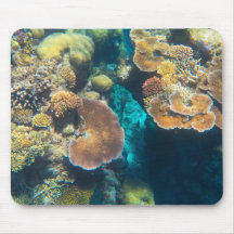 Corail de la Grande Barrière de Corail - #3