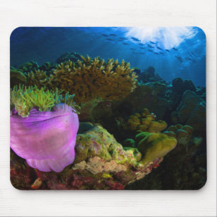 Tapis De Souris Corail de mer tropicale