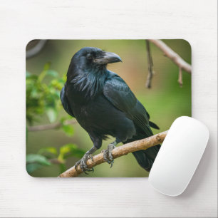 Tapis De Souris Corbeau sur une branche d'arbre