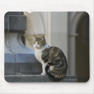 Tapis De Souris cordoba, argentine