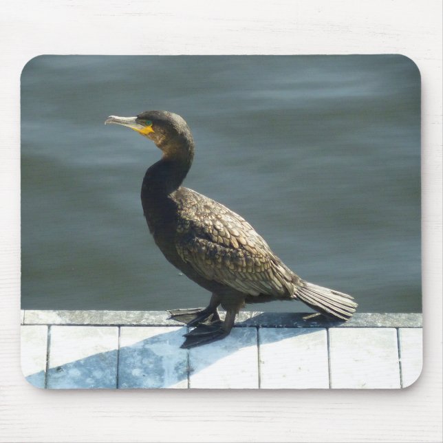 Tapis De Souris Cormorant (Devant)
