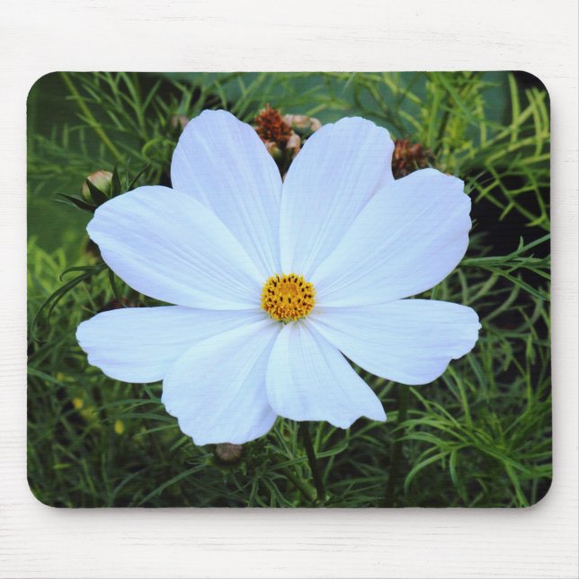 Tapis De Souris Cosmos blancs (Devant)