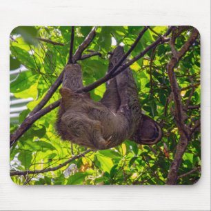 Tapis De Souris Costa Rica - Happy Lazy Sloth, Antonio Manuel NP